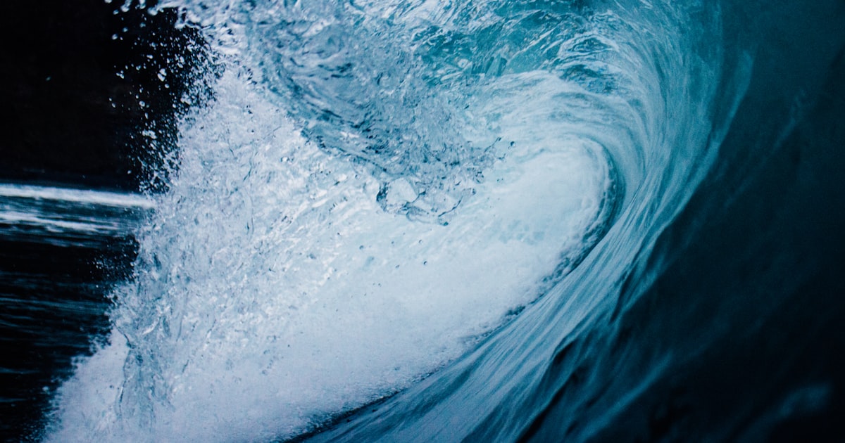 Jak vybrat správného účetního poradce: Kompletní průvodce pro OSVČ a malé firmy