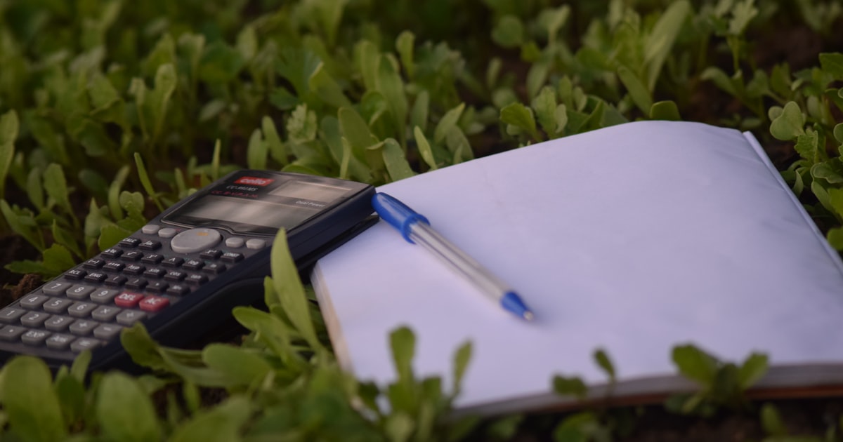 Einnahmen-Ausgaben-Rechnung für Selbstständige: ein praktischer Leitfaden